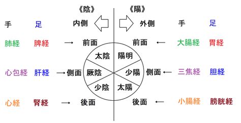 三陰三陽 日本|陰一陽と三陰三陽